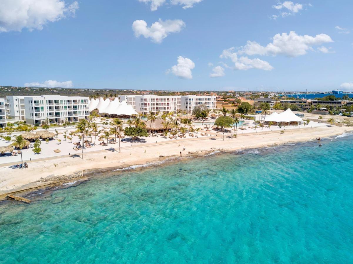 Chogogo Dive & Beach Resort Bonaire Playa Eksteriør billede