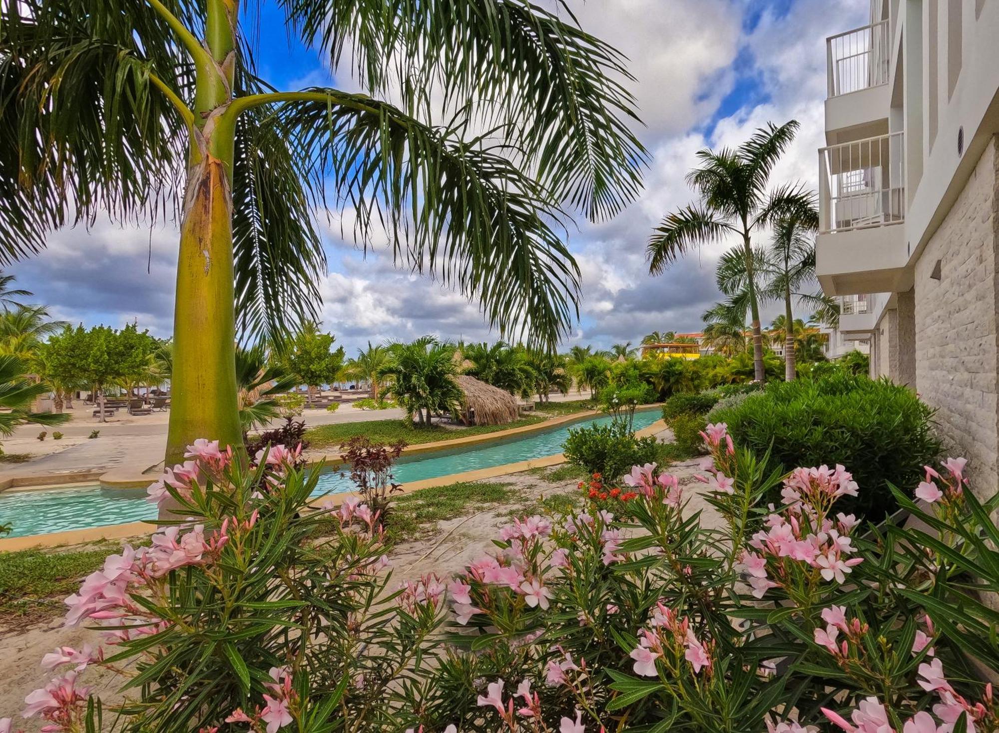 Chogogo Dive & Beach Resort Bonaire Playa Eksteriør billede