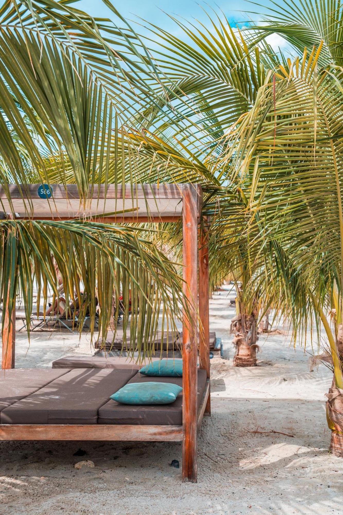 Chogogo Dive & Beach Resort Bonaire Playa Eksteriør billede