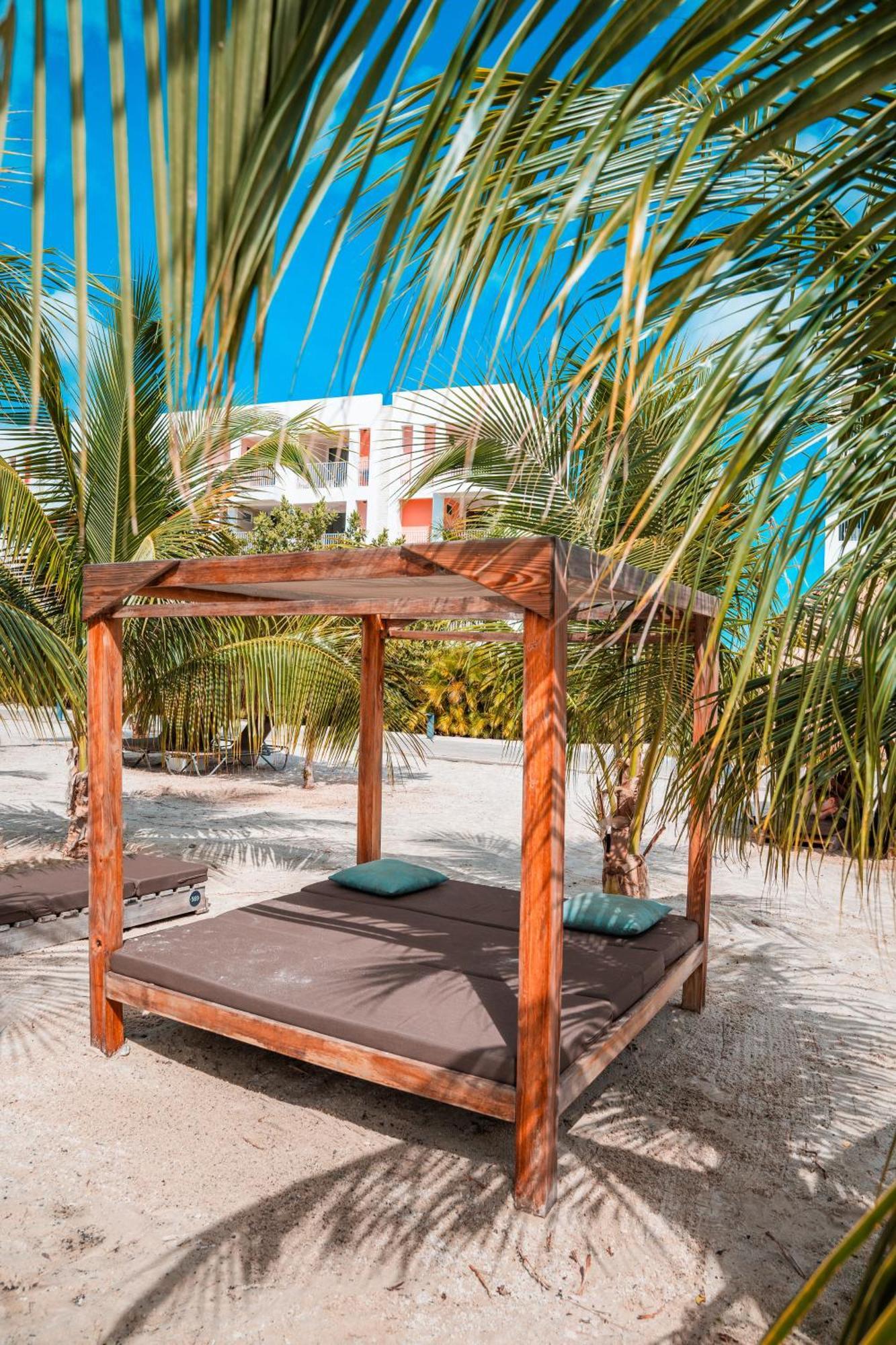Chogogo Dive & Beach Resort Bonaire Playa Eksteriør billede